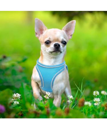 Heele Dog Harness for Small & Medium Dogs | Adjustable Reflective Soft Mesh Breastplate | Breathable Sky Blue Puppy Harness - Buy Online on SooperMarket.com