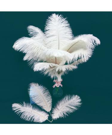 12pcs Natural White Ostrich Feathers Plumes 10-12inch(25-30cm) Bulk for Wedding Party Centerpieces  Easter Carnival  Flower Arrangement and Home Decorations White 12PCS