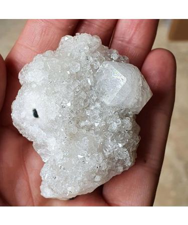 50g-300g Natural Raw s Apophyllite Stone Cluster Rough Stone Zeolite for Home Decoration 1pcs Can be Used for (Size : 230-260g) HOMEZHOU (Size : 130-160g) - Buy Online on SooperMarket.com