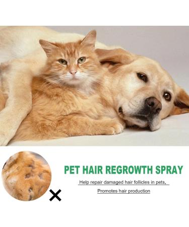Cat Detangler Spray for Matted Hair Leave In Hair Conditioner Spray Pet Supplies for Dogs Cats Matted Hair Encourages Hair Regrowth (30ml) Shareed - Buy Online on SooperMarket.com