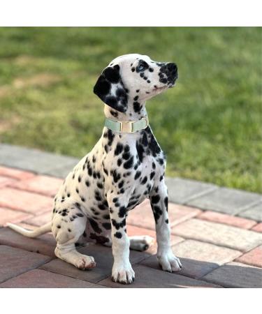 Yudote Ultra-Like Dog Collar | Natural Cotton Cord for Medium Dogs with Sensitive Skin | Sage Green - 1 Pack - Buy Online on SooperMarket.com