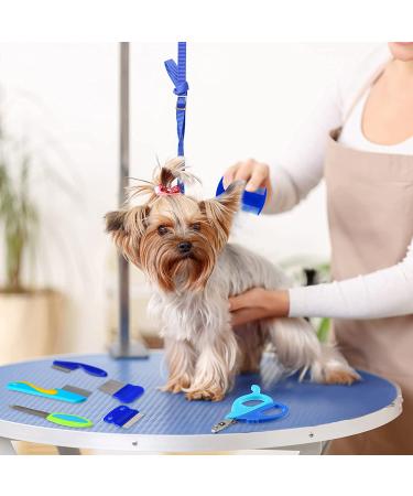 12-Piece Rabbit Grooming Kit: Nail Clipper, Trimmer, Hair Remover, Comb, Massage Brush, Toothbrush - Blue - Buy Online on SooperMarket.com