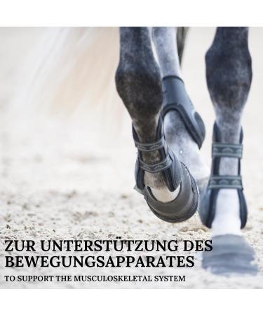 Boots Arthro Plus for Horses - Natural Joint & Tendon Support with New Zealand Green Lip Powder Vitamins & Devil's Claw - 1kg - Best Quality - Buy Online on SooperMarket.com