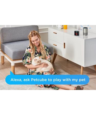 Petcube 2017: Smart Pet Camera with Interactive Laser Toy | HD Video, Two-Way Audio, Night Vision | App-Enabled Monitoring for Dog/Cat Safety - Buy Online on SooperMarket.com