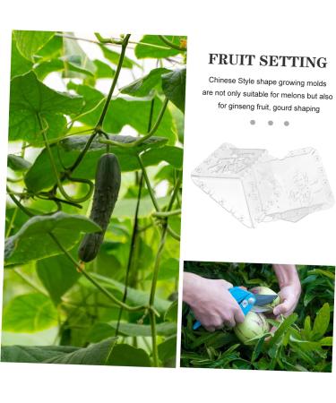 SUPVOX 2pcs for Growing Grow Tools Growth Shaped Forming Reusable Shape Fruit Shaping Plastic - Buy Online on SooperMarket.com