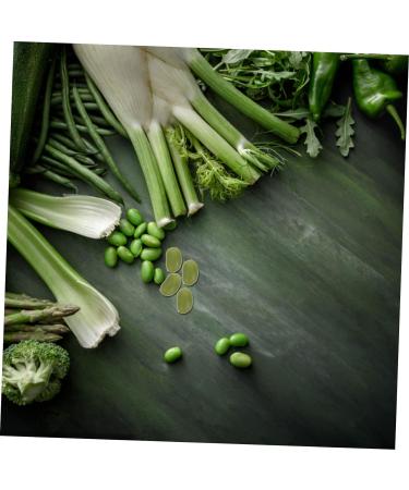 HOMSFOU 2 Packs Simulated Green Beans Artificial Vegetables Props Faux Soybean Simulated Bean Model Dollhouse Food Miniature Gourmet Nuts Photo Props Food Play Pvc Accessories Greenx2pcs 1.6X1CMx2pcs - Buy Online on SooperMarket.com