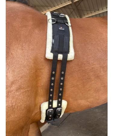Preto Horse Training Body Roller or Lunging Girth adjustable synthetic strong tear resistant pp nylon webbing fleece/faux fur padded exercise lunge roller girth anti-chafing equestrian Cob Full Pony