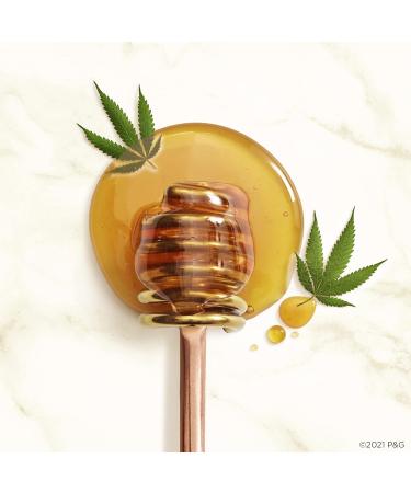 Hair Food Hemp Extract & Manuka Honey Leave-In Conditioner - Repair Serum for Dry, Damaged Hair - 5.1 Fl Oz - Buy Online on SooperMarket.com