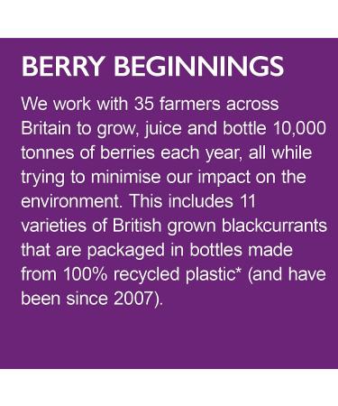 Ribena Blackcurrant Juice Drink 500ml (12) - Buy Online on SooperMarket.com