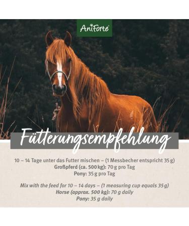 AniForte Bronchial Herbs for Horses 1kg - Natural Respiratory Support with Methylcysteine | Cough Relief & Healthy Airways - Buy Online on SooperMarket.com