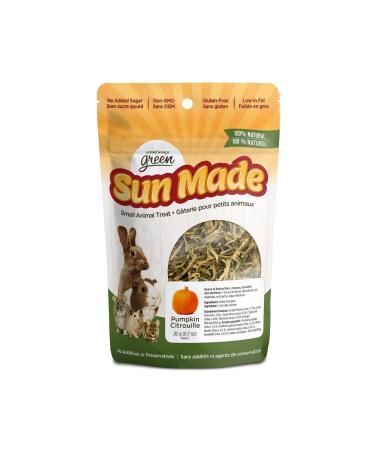 Living World Green Sun Made Small Animal Treats - Pumpkin - 20 g (0.7 oz)