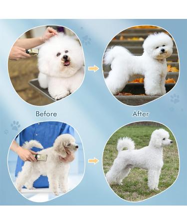 Electric Dog Clippers Cordless Dog Trimmer Low Noise | Pet Grooming Kit Rechargeable & Fast Charging Dog Grooming Clippers with 4 Combs | Professional Cat Hair Trimmer for Dogs Cats Horses Green - Buy Online on SooperMarket.com