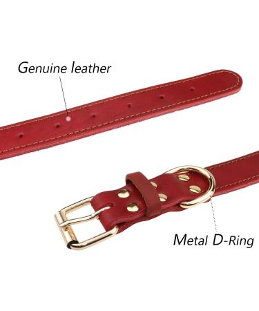 Personalized Leather Dog Collar - Engraved Name & Phone Number | Medium Size Coral Red - Tagme - Buy Online on SooperMarket.com