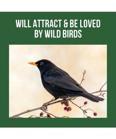 Honeyfields 5Kg Wild Bird Food - High Quality Blend for All Seasons - Buy Online on SooperMarket.com