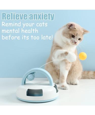 Suhaco 3-in-1 Interactive Cat Toy Set with Feather Wand, Catnip Ball, and Bell Track Toy - Self Play Fun for Indoor Cats - Blue - Buy Online on SooperMarket.com