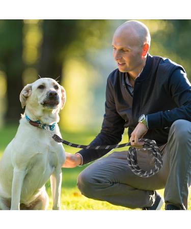 Runway Double Dog Leash 3m Adjustable | Dual Clip Leash for Small & Large Dogs | Durable Black Long Line - Buy Online on SooperMarket.com