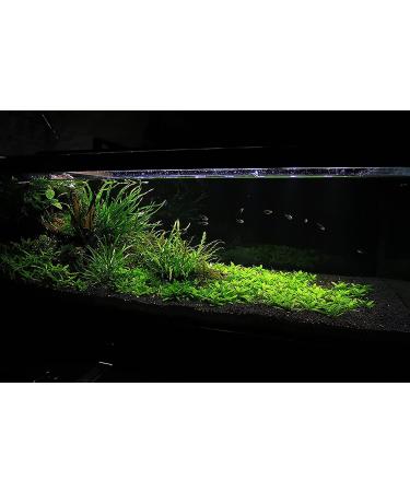 Ultum Nature Systems Controsoil 3L/6lbs - Planted Aquarium Substrate for Freshwater Plants, Shrimp, Aquascape - Black Fine - Buy Online on SooperMarket.com