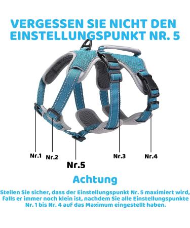 Buy Belpro Multi-Purpose Dog Harness - No Pull Reflective Adjustable Vest for Large Dogs - Durable Handle & Dog Dishes - Ideal for Active Dogs (Blue M) - Buy Online on SooperMarket.com