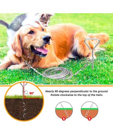 16ft Dog Tie Out Cable with Spiral Ground Stake - Up to 120lb Dogs - Perfect for Playing, Camping, and Backyard - White - Buy Online on SooperMarket.com
