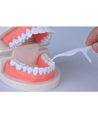 cleanpik toothpick 50 / pack 3 box dental floss teeth clean teeth gum floss - Buy Online on SooperMarket.com