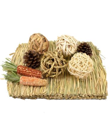 LLGLEU 2 Pcs Grass Mat for Rabbit with 4 Play Balls Pine Cone Carrot Bunny Chew Toy Natural Woven Bed Mat Molar Teeth Set for Guinea Pig Chinchilla Squirrel Hamster and Small Animal (Typ1)