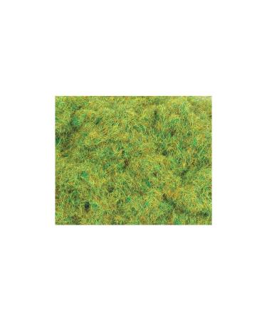 Peco PPCPSG201 2mm/1/16" Static Grass Spring 30g/1.06oz