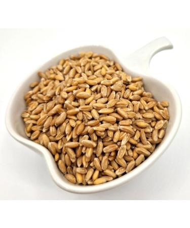 Thames Organic Spelt Grain Nutty & Hearty Versatile Whole Grain for Baking & Cooking Organic & Non-GMO Rich in Plant Protein & Fiber - Ideal for Vegan Vegetarian Diets 1kg - Buy Online on SooperMarket.com