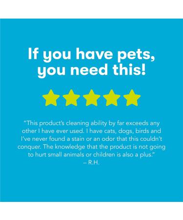 Eco-Friendly Pet Stain & Odor Remover | Natural Formula 32 fl oz - Buy Online on SooperMarket.com
