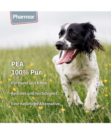 Pharmox Dog & Cat PEA - 100% Pure High Dosage 60 Capsules | Premium Pet Supplement for Health - Buy Online on SooperMarket.com
