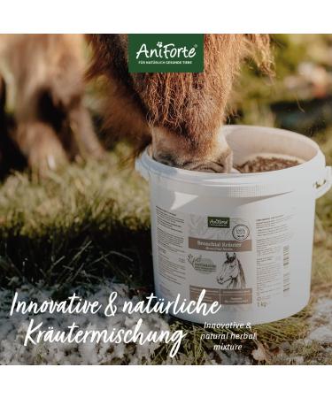 AniForte Bronchial Herbs for Horses 1kg - Natural Respiratory Support with Methylcysteine | Cough Relief & Healthy Airways - Buy Online on SooperMarket.com