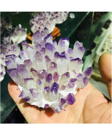 Natural Crystal Cluster Amethyst Specimen Ore Purple Reiki Stone Raw Crystal Home Decor Decoration Gift (Size : 500-600) - Buy Online on SooperMarket.com