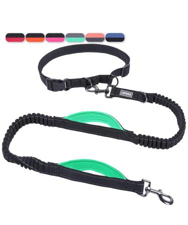 Vivaglory free-handed dog leash with double anti-shock bungees and padded handles reflective waist running leash for training jogging for medium large dogs black/turquoise M: fits the waist 83-147cm black/turquoise