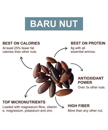 Naturtonix Baru Nut Butter - Peanut Free, Vegan & Kosher Certified, Creamy & Thick with Only 3 Ingredients, Gluten Free with 7g Protein - 11 Ounces - Buy Online on SooperMarket.com