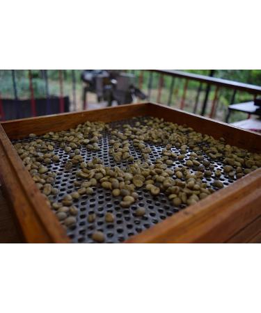 Ecuadorian Gourmet Coffee Whole Beans Medium Roast Fresh Coffee Beans 200 Grams/3.5 Ounces (Pack of 1) | Ecuadorian Coffee 100% Gourmet Coffee PIUAROMA - Buy Online on SooperMarket.com