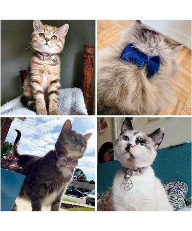 Personalized Cat Collar with Engraved Name & Phone Number for Small Pets | Brown | Bell Included - Buy Online on SooperMarket.com