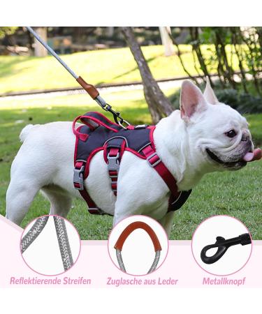 Multi-Purpose Dog Harness & Leash Set | Outbreak-Proof Safety Harness for Small & Medium Dogs - Pink - Buy Online on SooperMarket.com