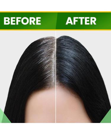 Spierb Indigo Leaf Powder 250gm - Natural Pure Indigo Powder for Hair - Indigo Henna Hair Dye black permanent hair colour/beard dye - Use with henna powder for jet black hair dye/dark brown hair dye 250 g (Pack of 1) - Buy Online on SooperMarket.com