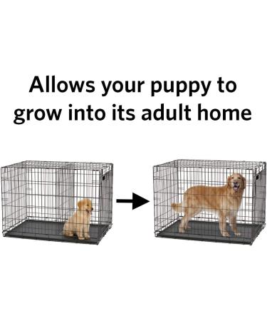 MidWest Homes for Pets Divider Panel - Fits Models 710BK, 1248, 1348TD, 1548/DD, 1648/DD/UL - Buy Online on SooperMarket.com
