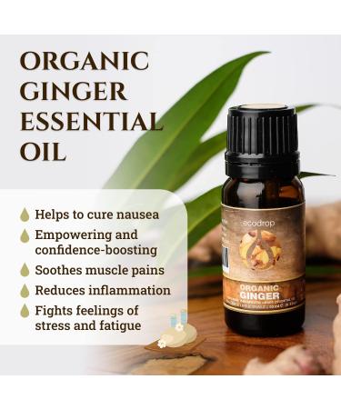 Organic Ginger Essential Oil 10ml by Ecodrop - Therapeutic Grade, Cosmos Certified, Pure Ginger Root Oil for Aromatherapy with Free E-Book - Buy Online on SooperMarket.com