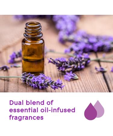 Glade Essential Oil Diffuser Refill Use with Cool Mist Aromatherapy Diffuser Air Freshener for Home Choose Calm Scent with Notes of Lavender & Sandalwood 1 Count - Buy Online on SooperMarket.com