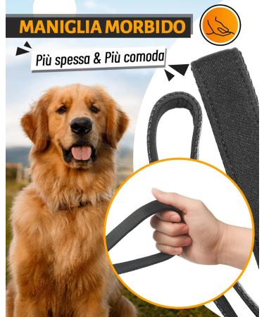 Looxmeer Dog Tow Lines - 3m 5m 7m 10m 15m 20m 30m - Robust Leash with Storage Bag & D-Carabiner | Black 10m - Buy Online on SooperMarket.com