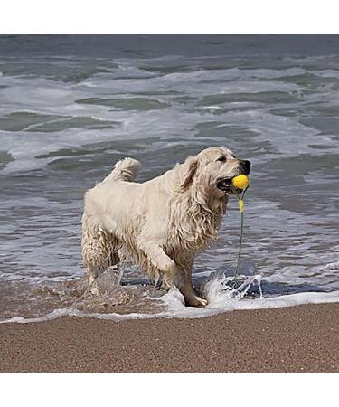 Buy Durable Dog Toys: Flee Durafoam Ball & Rope - Perfect for Large & Small Dogs - International Shipping Available - Buy Online on SooperMarket.com