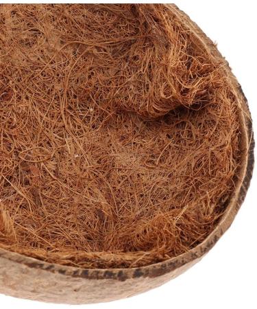 Buy SM SunniMix Coconut Shell Bird Nest Toy for Budgerigar Cockatiel Parrot & Lovebird - Perfect for Pet Birds - Fast International Shipping - Buy Online on SooperMarket.com