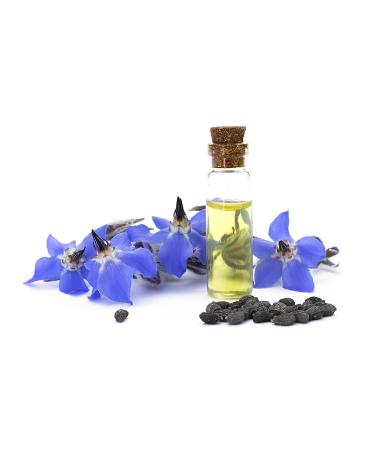 OPO Borage Seed Oil 32 oz - 100% Pure Non-GMO High GLA Moisturizer | Vegan Carrier Oil for Skin Hair Nails & DIY Soaps - Buy Online on SooperMarket.com