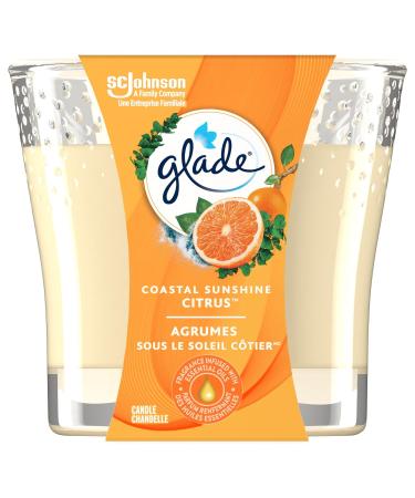 Glade Scented Candle Coastal Sunshine Citrus Air Freshener Infused with Essential Oils 1-Wick Candle 1 Count