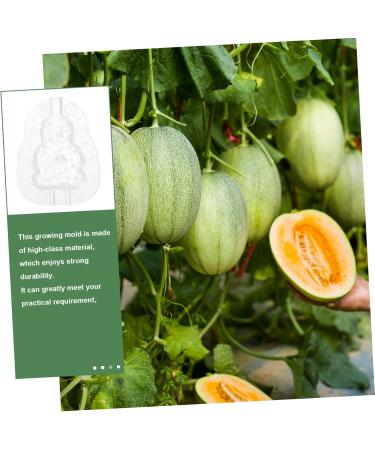 Milisten Gardening Tools 6 pcs Watermelon Mould Tools Clear Supplies Growing Garden Vegetable Multifunction Moldvegetable Transparentx2pcs 9x8cmx2pcs - Buy Online on SooperMarket.com