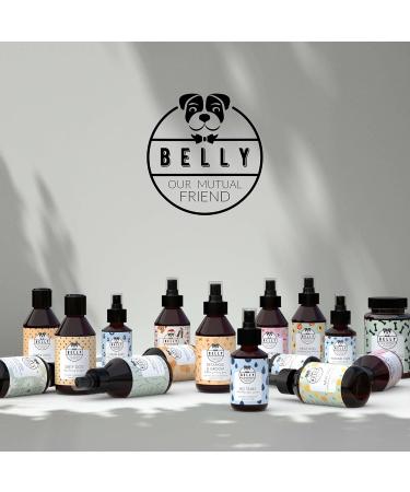 Buy Belly Vegan Dog Shampoo & Conditioner - 250ml | Guava & Cucumber - Long Hair & Odor Control for Dogs & Puppies - Buy Online on SooperMarket.com