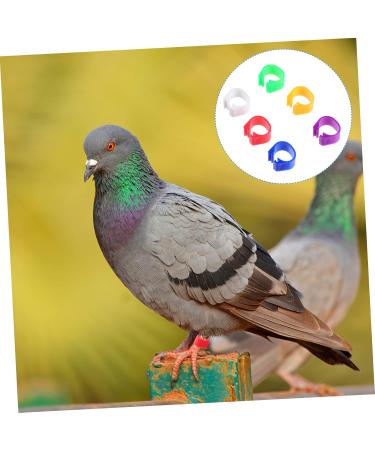 400 Pcs Pigeon Foot Ring Pigeon Supplies Number Baby 1X0.5cmx2pcs Colorfulx2pcs - Buy Online on SooperMarket.com