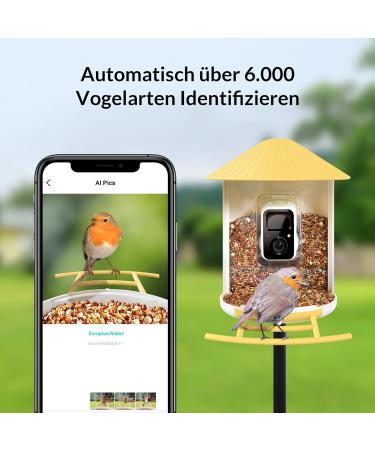 Birdfy Bird Feeder with Camera - AI Detection Video Recording & Solar Powered - Ideal for Wild Bird Feeding - Buy Online on SooperMarket.com