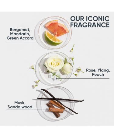 Biolage Scalp Sync Oil Balancing Serum - Lightweight Leave-In for Oily Scalp | Paraben & Silicone-Free | Vegan & Cruelty-Free - Reduce Excess Oil - Buy Online on SooperMarket.com